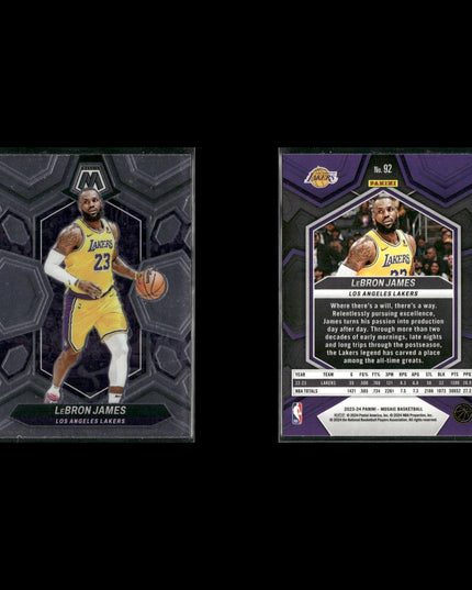 Lebron James Cleveland Cavaliers Basketball 11-Card Lot Panini EX