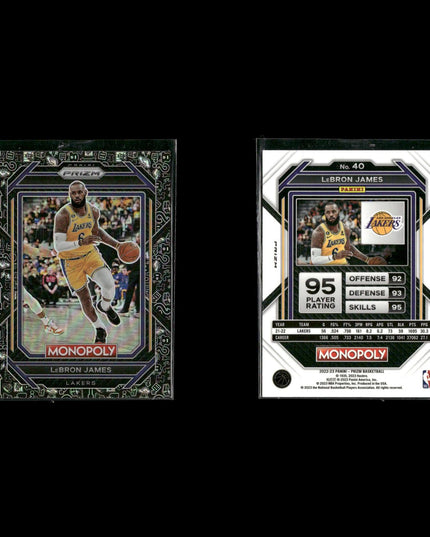 Lebron James Cleveland Cavaliers Basketball 11-Card Lot Panini EX