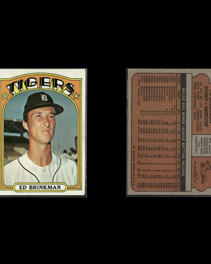 1972 Topps Detroit Tigers Team Lot (10 Cards) Vintage Baseball MLB