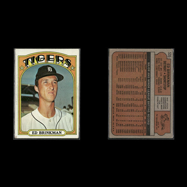 1972 Topps Detroit Tigers Team Lot (10 Cards) Vintage Baseball MLB