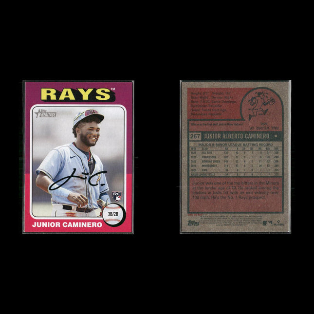 Junior Caminero 12-Card Lot Tampa Bay Rays Top Prospect