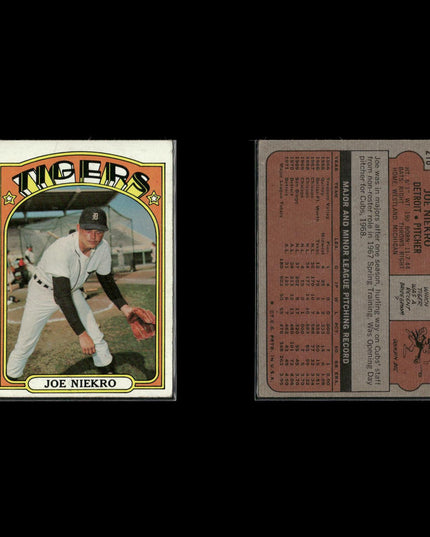 1972 Topps Detroit Tigers Team Lot (10 Cards) Vintage Baseball MLB